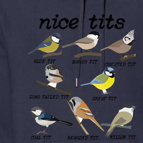 Nice Tits Funny Bird Watching, Funny Tit Birds Birdwatcher Premium Hoodie