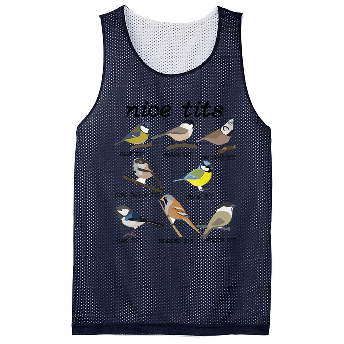 Nice Tits Funny Bird Watching, Funny Tit Birds Birdwatcher Mesh Reversible Basketball Jersey Tank