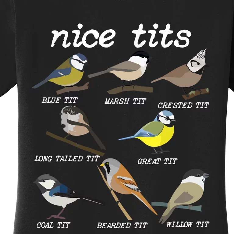 Nice Tits Funny Bird Watching, Funny Tit Birds Birdwatcher VNeck Women's T-Shirt