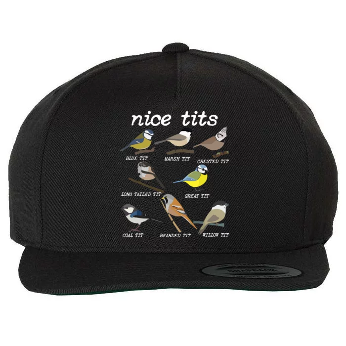 Nice Tits Funny Bird Watching, Funny Tit Birds Birdwatcher VNeck Wool Snapback Cap