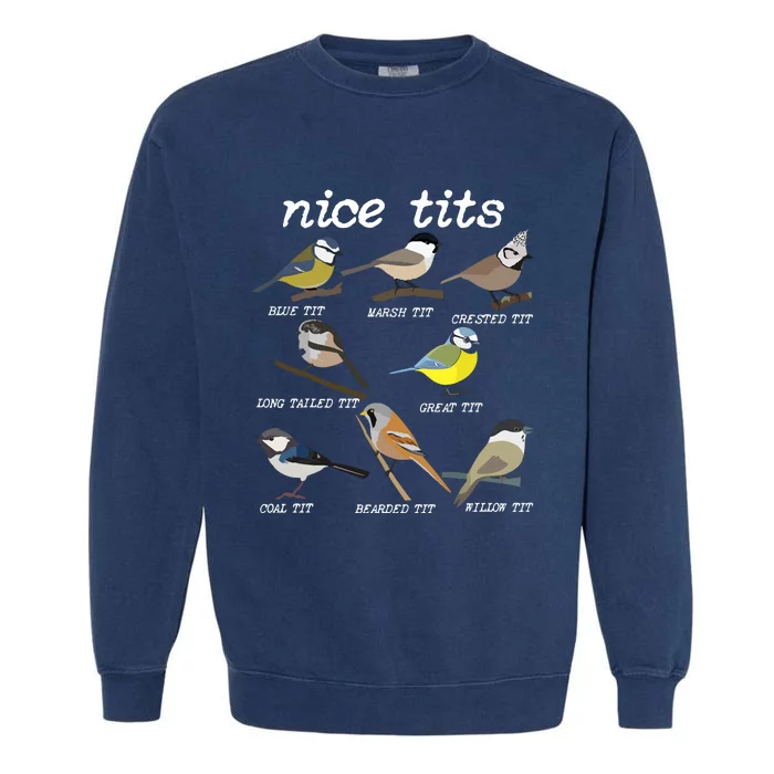 Nice Tits Funny Bird Watching, Funny Tit Birds Birdwatcher VNeck Garment-Dyed Sweatshirt