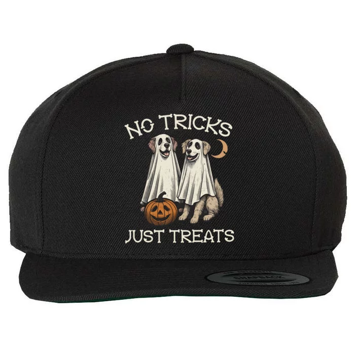 No Tricks Just Treats Funny Halloween Dog Wool Snapback Cap