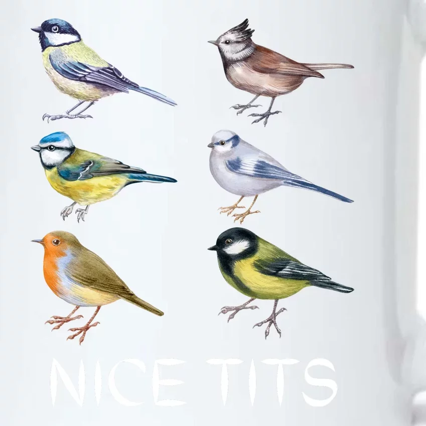 Nice Tits Black Color Changing Mug