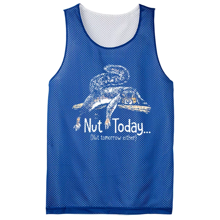 Nut Today Nut Tomorrow Either Squirrel Mesh Reversible Basketball Jersey Tank