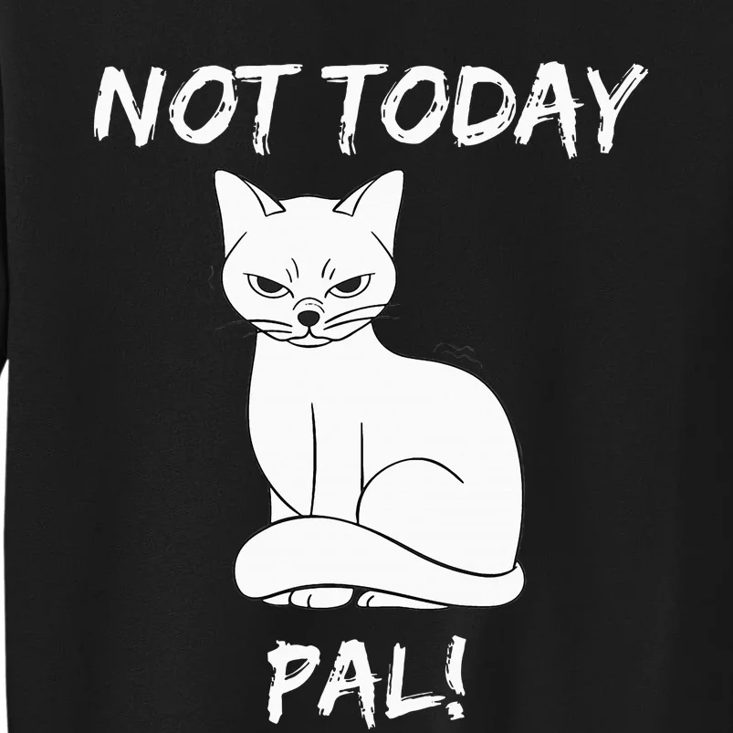 Not Today Pal Fierce Cat Attitude Whimsy Sweatshirt