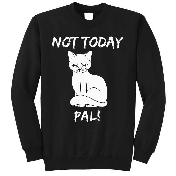 Not Today Pal Fierce Cat Attitude Whimsy Sweatshirt