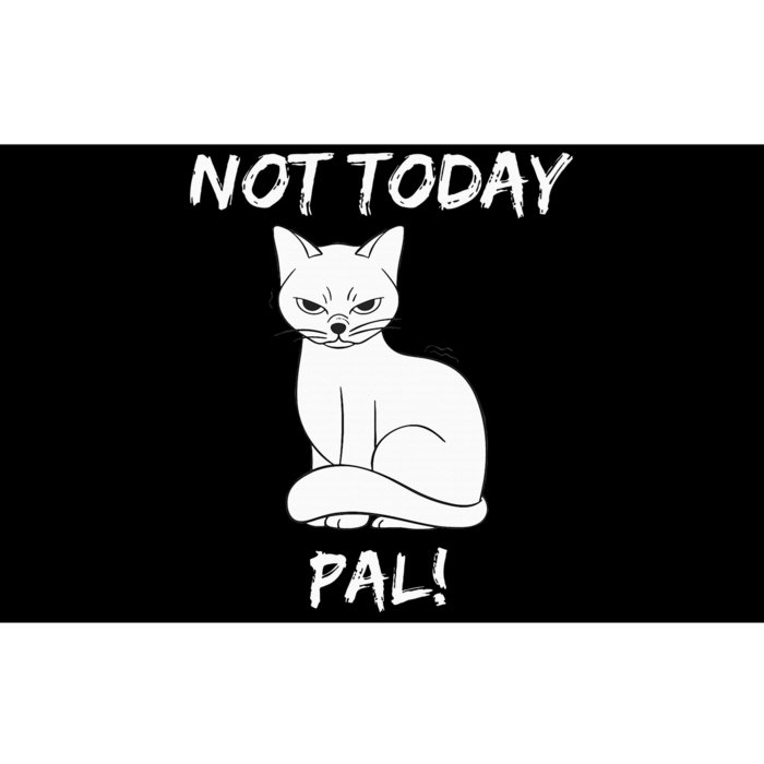 Not Today Pal Fierce Cat Attitude Whimsy Bumper Sticker