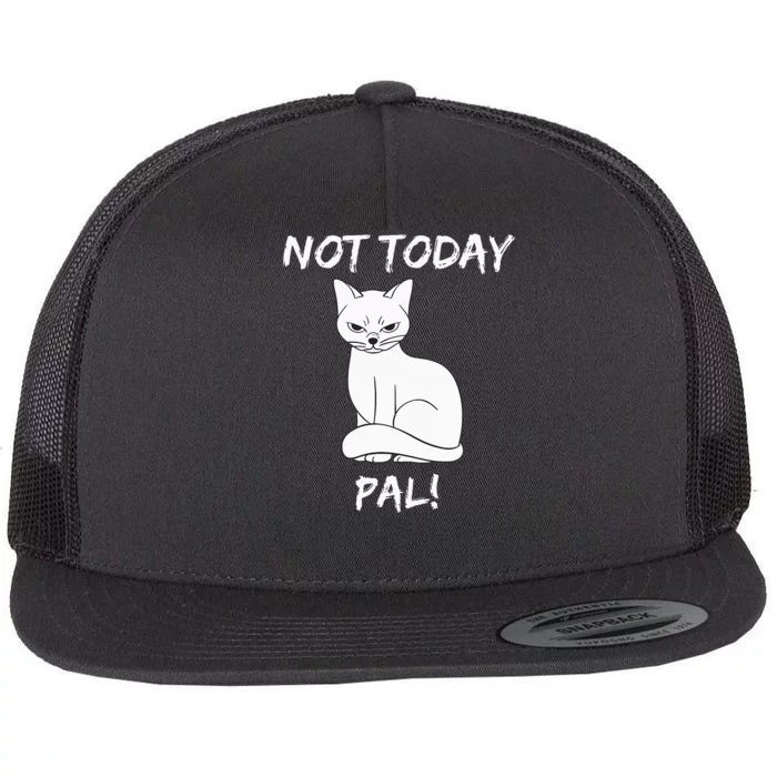 Not Today Pal Fierce Cat Attitude Whimsy Flat Bill Trucker Hat