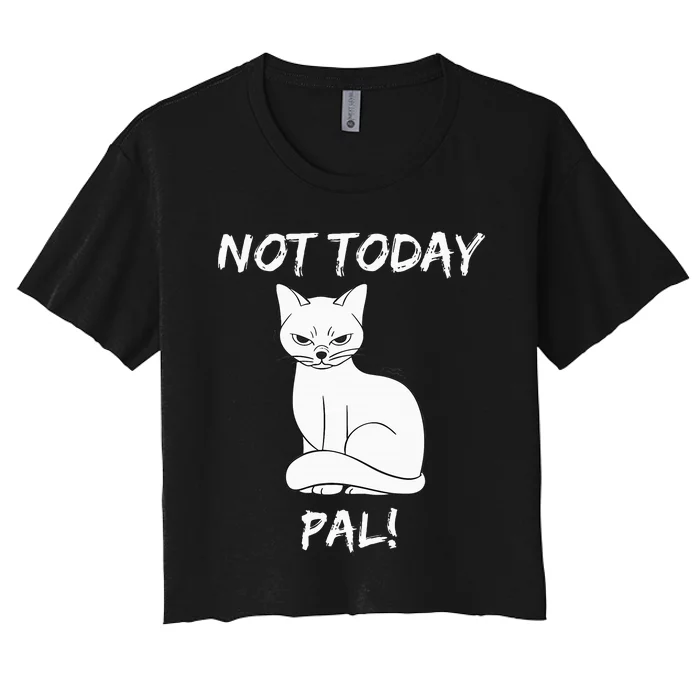 Not Today Pal Fierce Cat Attitude Whimsy Women's Crop Top Tee