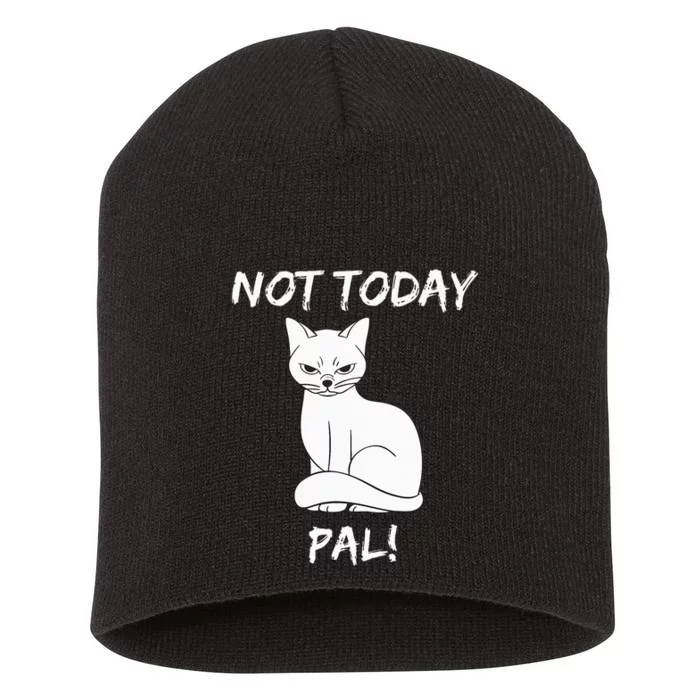 Not Today Pal Fierce Cat Attitude Whimsy Short Acrylic Beanie