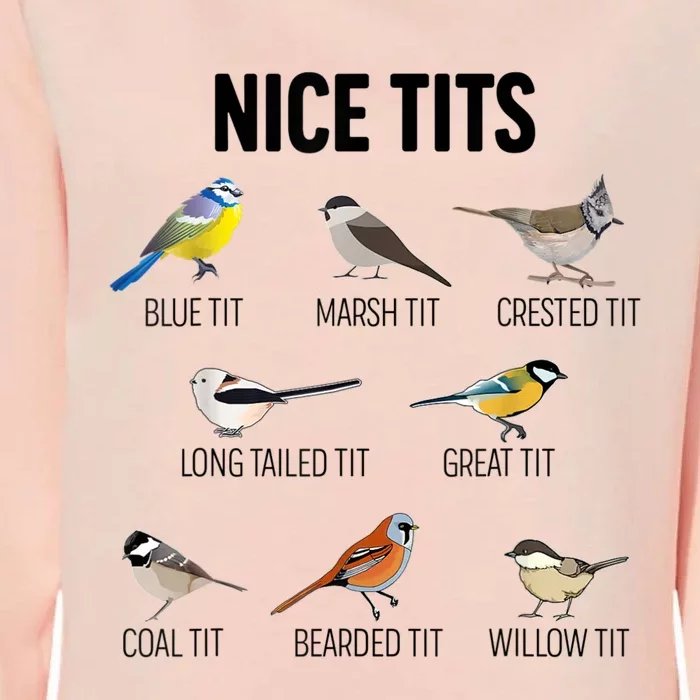 Nice Tits Pun Joke Funny Bird Lover Enthusiast Birdwatcher Womens California Wash Sweatshirt