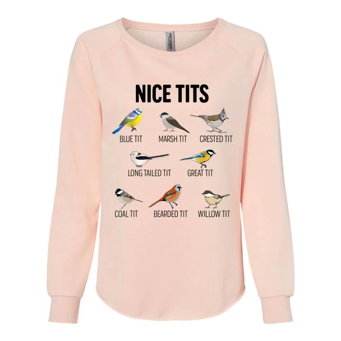 Nice Tits Pun Joke Funny Bird Lover Enthusiast Birdwatcher Womens California Wash Sweatshirt