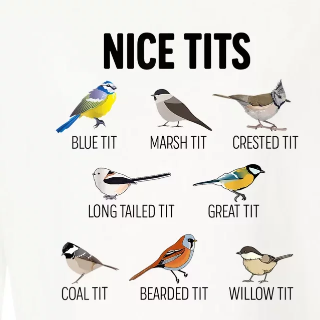 Nice Tits Pun Joke Funny Bird Lover Enthusiast Birdwatcher Cropped Pullover Crew