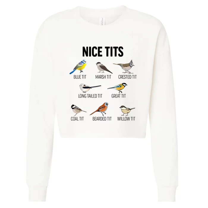 Nice Tits Pun Joke Funny Bird Lover Enthusiast Birdwatcher Cropped Pullover Crew