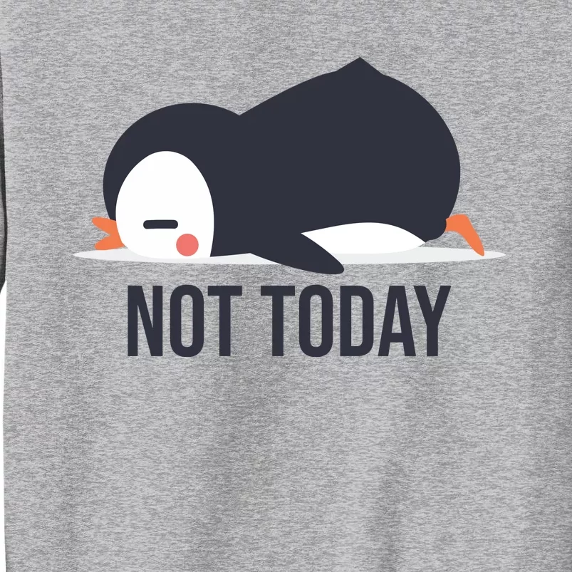 Not Today Seabird Funny Cute Tall Sweatshirt