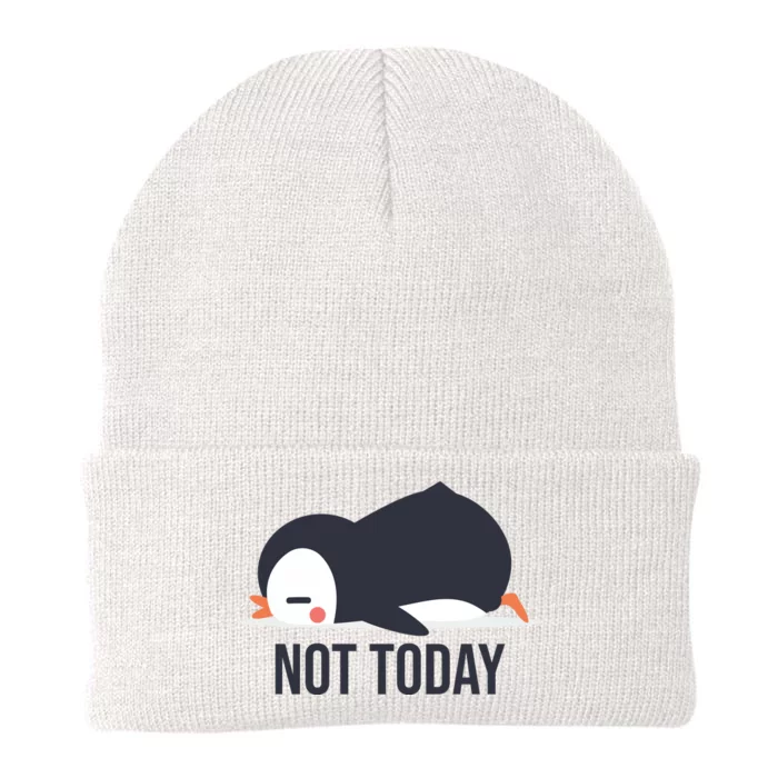 Not Today Seabird Funny Cute Knit Cap Winter Beanie