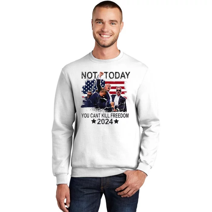 Not Today You CanT Kill Freedom Sweatshirt