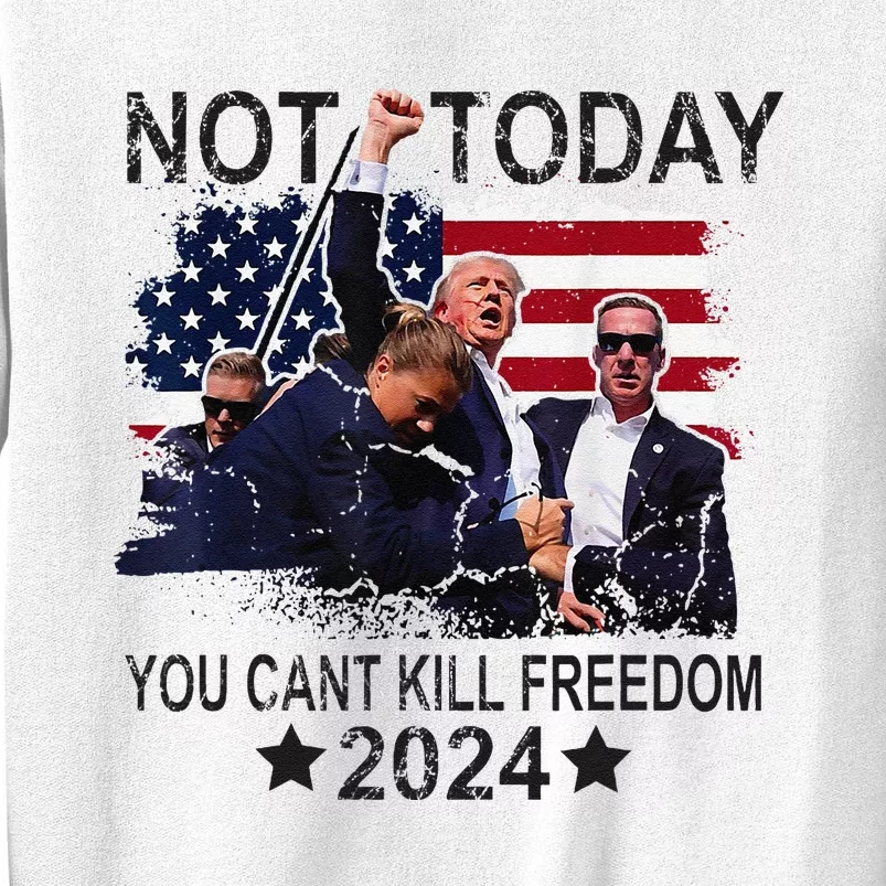 Not Today You CanT Kill Freedom Sweatshirt