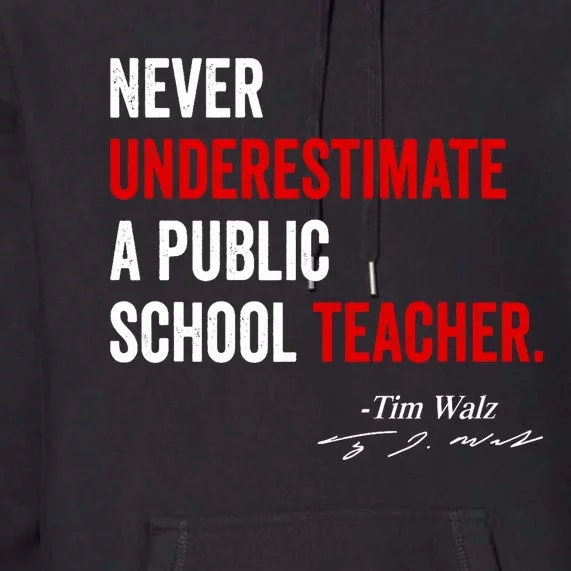 Never Underestimate A Public School Teacher Coach Quote Premium Hoodie