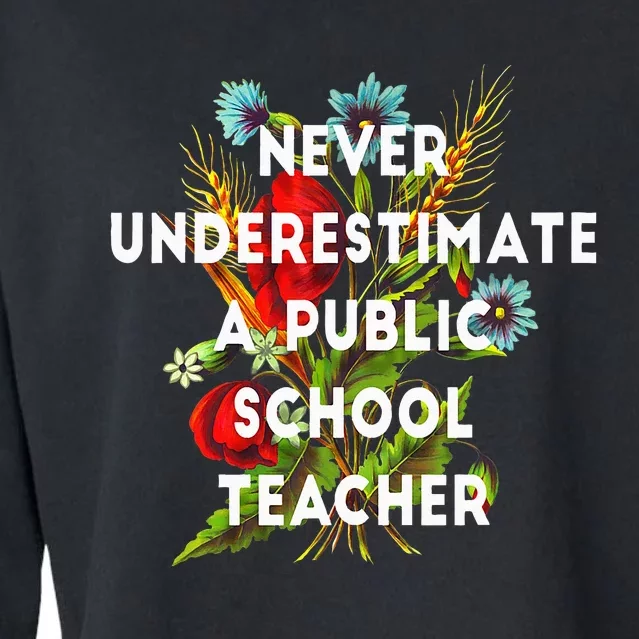 Never Underestimate A Public School Teacher Cropped Pullover Crew