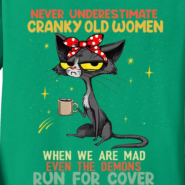 Never Underestimate Old Cranky Funny Cat Kids Long Sleeve Shirt