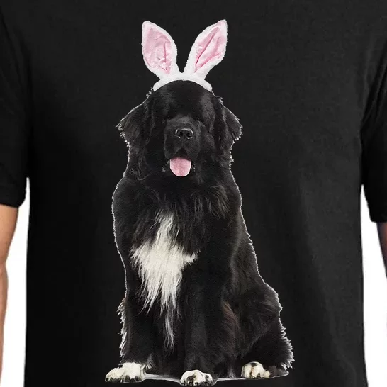 Newfoundland Wearing Easter Bunny Ears Dog Pajama Set