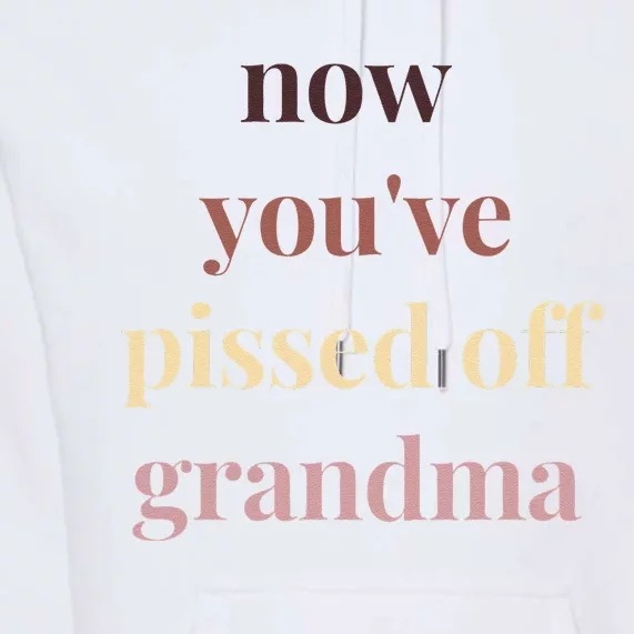 Now YouVe Pissed Off Grandma Political Protest Rally March Premium Hoodie