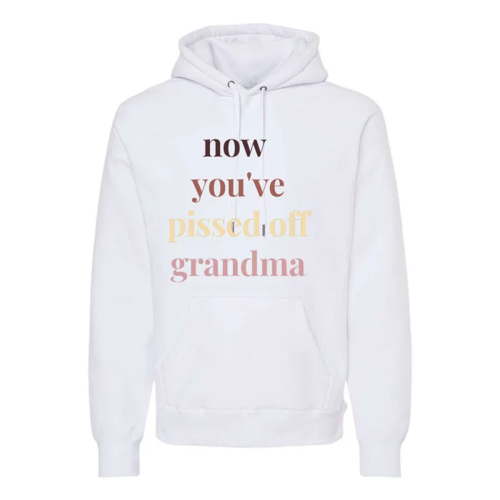 Now YouVe Pissed Off Grandma Political Protest Rally March Premium Hoodie