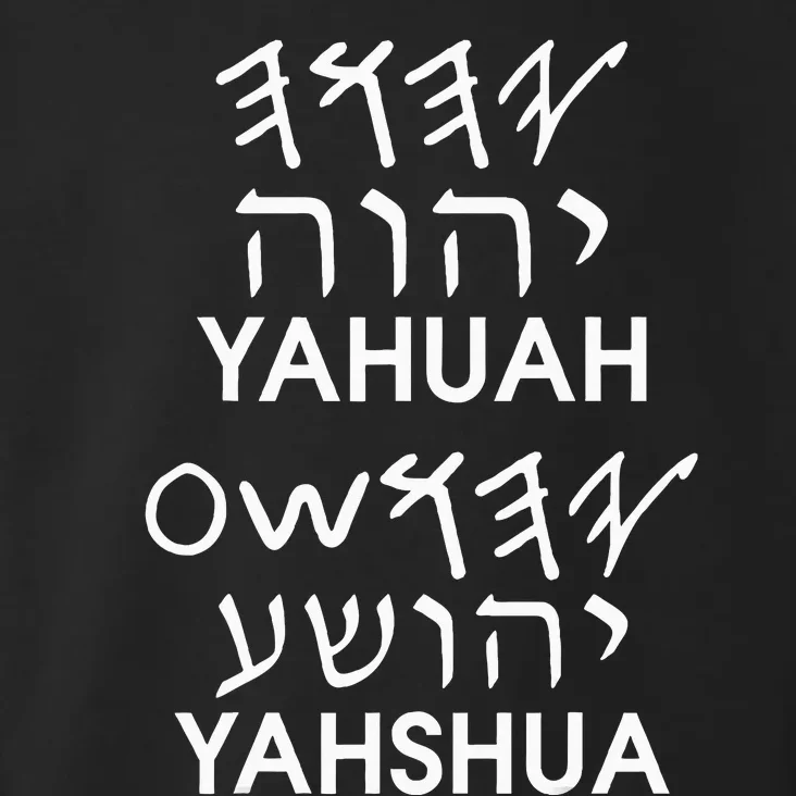 Name Yahuah Yahshua Paleo Hebrew Toddler Hoodie