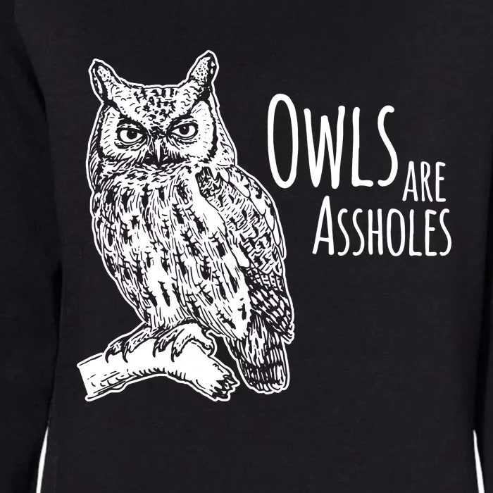 Owls Are Assholes Womens California Wash Sweatshirt