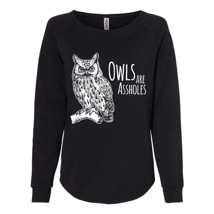 Owls Are Assholes Womens California Wash Sweatshirt