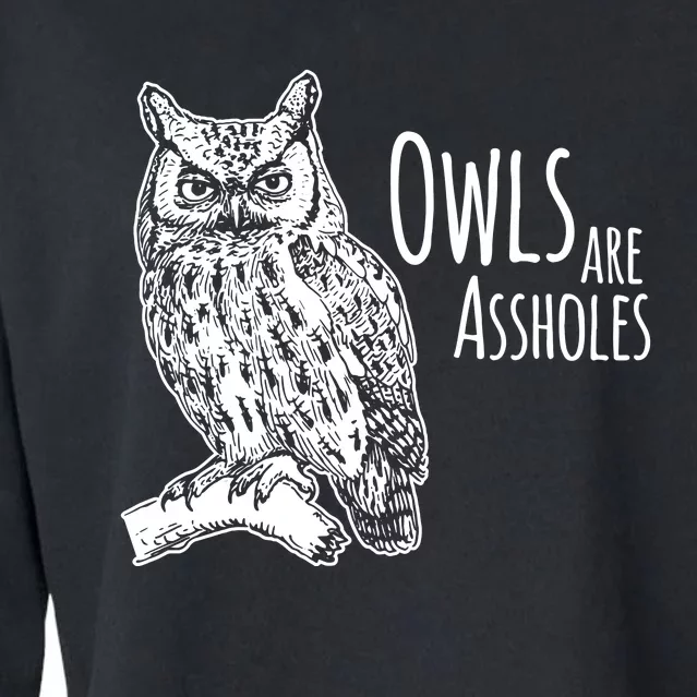 Owls Are Assholes Cropped Pullover Crew