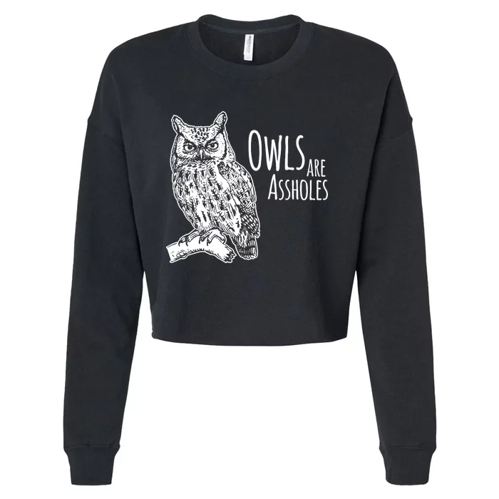 Owls Are Assholes Cropped Pullover Crew