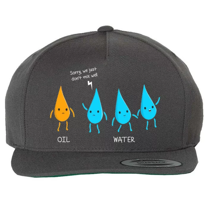 Oil And Water Don't Mix Well Funny Science Wool Snapback Cap