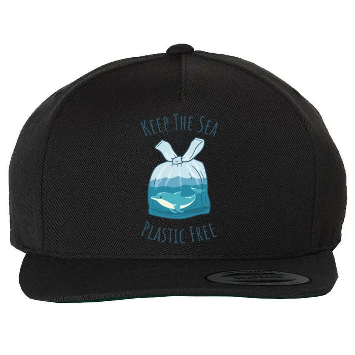 Ocean Ban Plastic Pollution Keep The Sea Plastics Free Gift Wool Snapback Cap