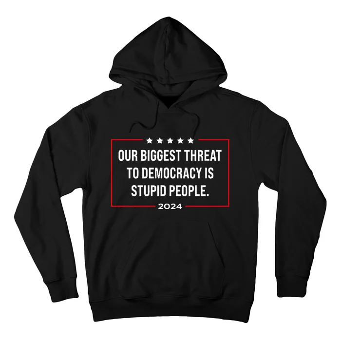 Our Biggest Threat To Democracy Is Stupid People Hoodie