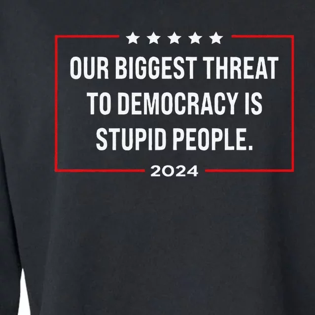 Our Biggest Threat To Democracy Is Stupid People Cropped Pullover Crew