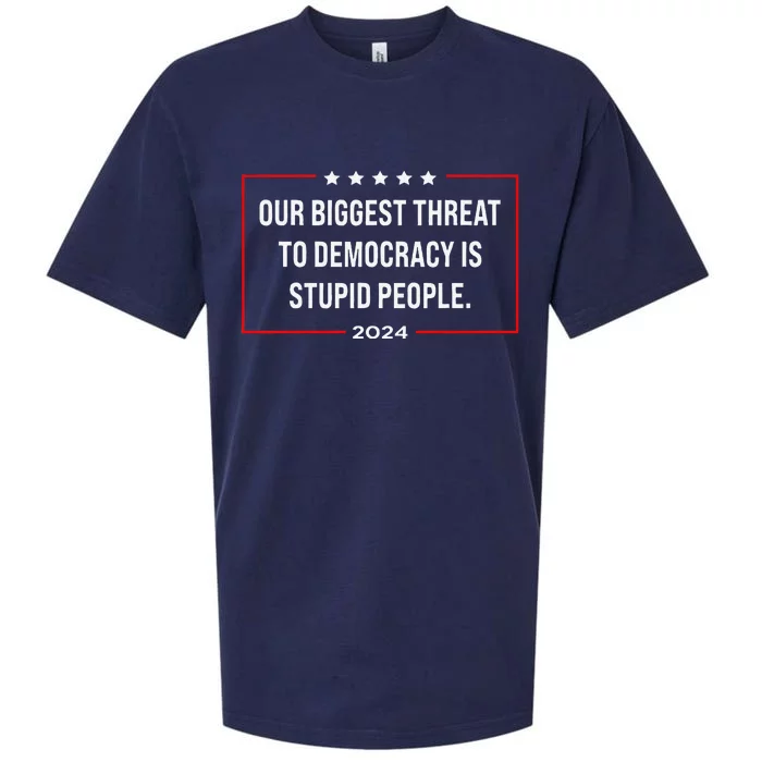 Our Biggest Threat To Democracy Is Stupid People Sueded Cloud Jersey T-Shirt