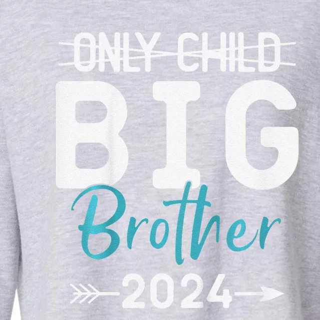 Only Child Big Brother 2024 Promoted To Big Brother 2024 Cropped Pullover Crew