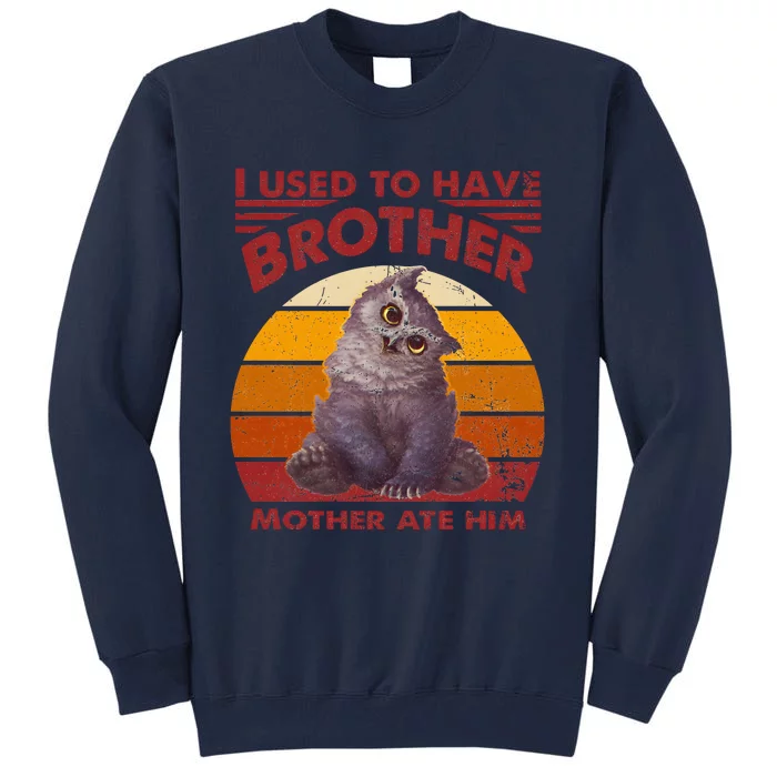 Owlbear Cub BaldurS Gate 3 I Used To Have Brother Vintage Tall Sweatshirt