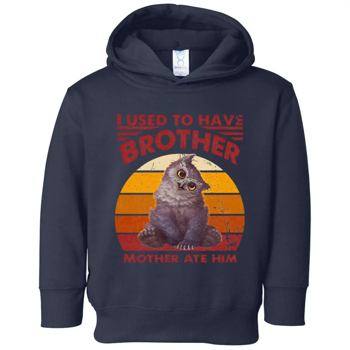 Owlbear Cub BaldurS Gate 3 I Used To Have Brother Vintage Toddler Hoodie