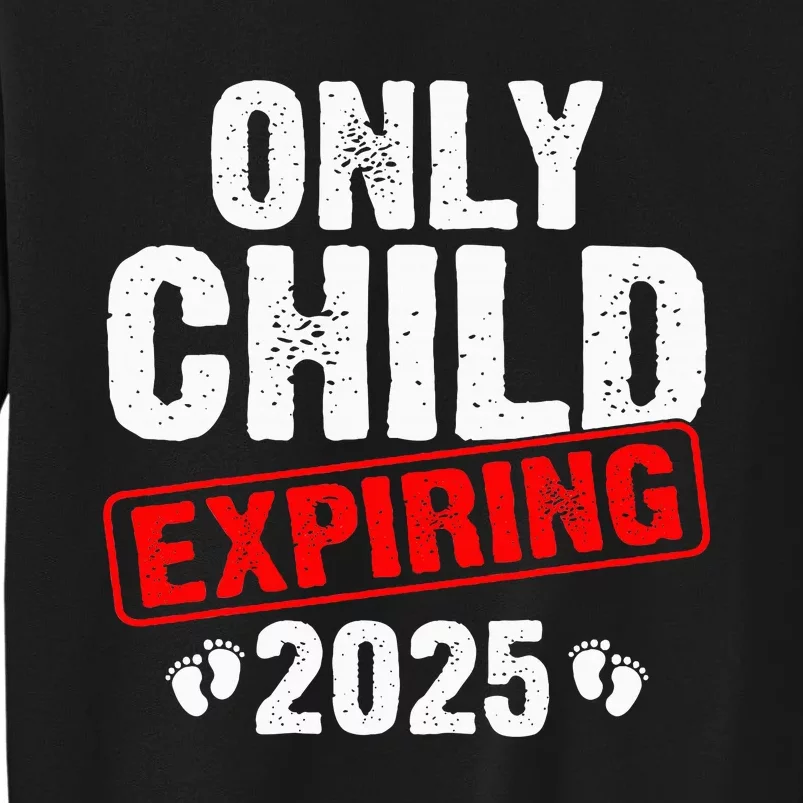 Only Child Expiring 2025 Big Brother Promoted To Big Bro Sweatshirt