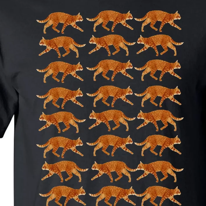 Orange Cat  Orange Tabby Cat lovers pattern Tall T-Shirt