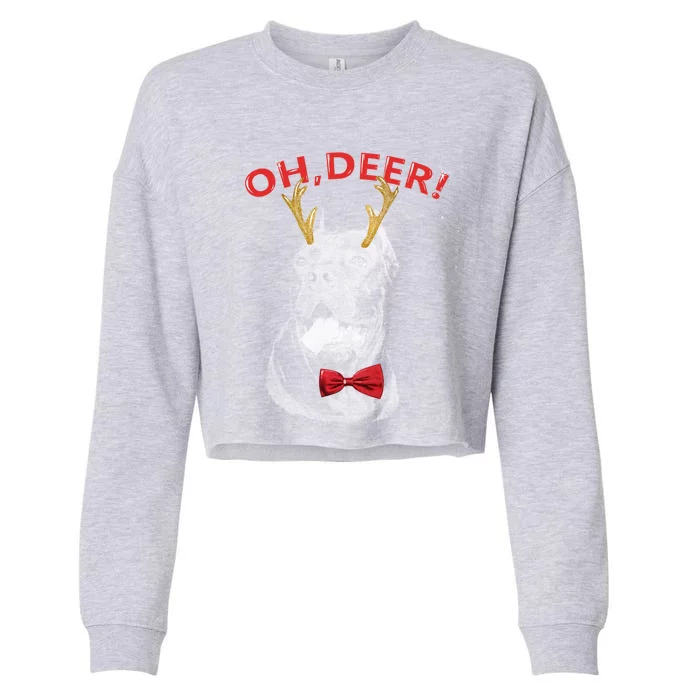 Oh Deer Cane Corso Xmas Red Bowtie Gift Cropped Pullover Crew