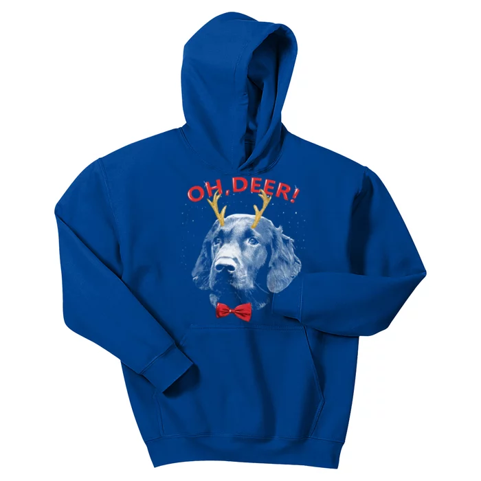 Oh Deer Flat Coated Retriever Xmas Red Bowtie Gift Kids Hoodie