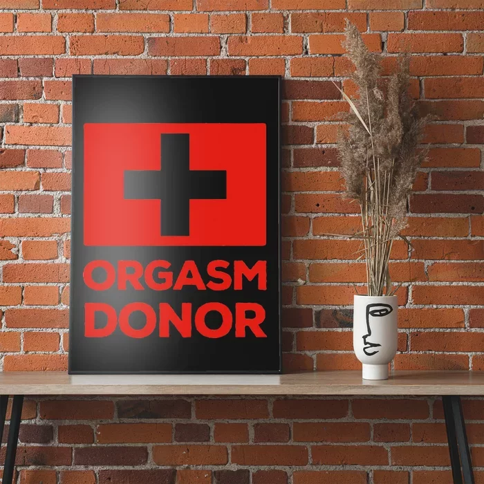 Orgasm Donor Funny Lazy Halloween Costume Poster