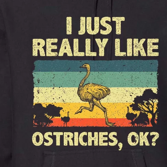 Ostrich Design Ostrich Animal Lover Premium Hoodie