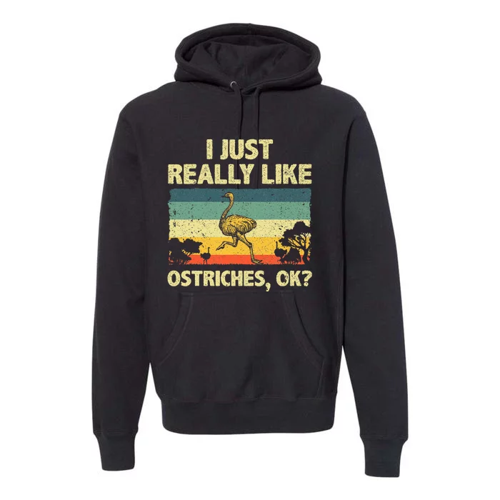 Ostrich Design Ostrich Animal Lover Premium Hoodie