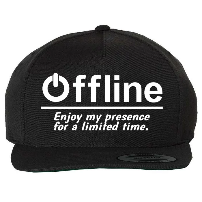 Offline Enjoy My Presence For A Limited Time Wool Snapback Cap