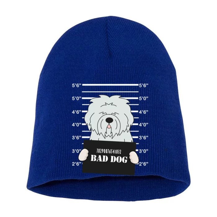 Old English Sheepdog Sheepie Mug Shot Bad Dog Mom Dad Gift Short Acrylic Beanie